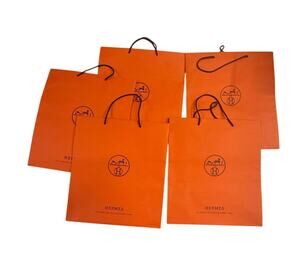 Hermès Paris Paper Shopping Gift Bags Lot of 5 Large 16x18.5x6.5 Rope Handles